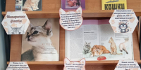 Обзор книжной выставки «День кошек» - Курильская ЦБС